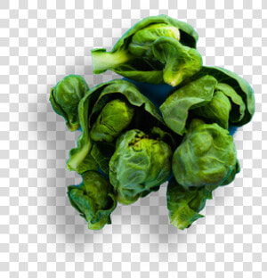 Brussels Sprout  HD Png Download