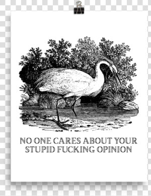 Stupid Opinion Srcset Data   Film  HD Png Download