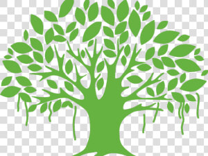 Transparent Tree Clipart   Vector Banyan Tree Png  Png Download