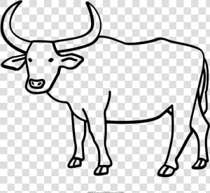 Carabao Clipart Black And White  HD Png Download