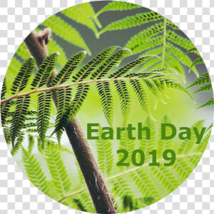 Jasco Cleans Up For Earth Day   End We Only Regret The Chances We Didn T Take 1920x1080  HD Png Download