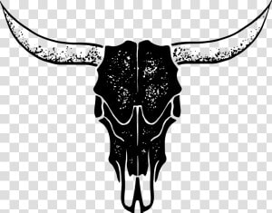 Transparent Skull Clipart Png   Aint My First Rodeo  Png Download