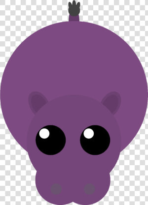 Hippo Png  Transparent Png