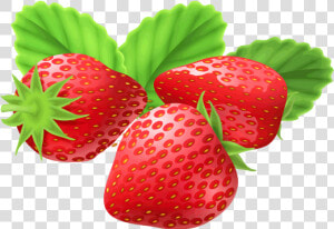Strawberry Png Image Free Download Searchpng   Download Strawberry  Transparent Png