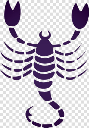 Transparent Scorpio Png   Scorpio Zodiac Png  Png Download