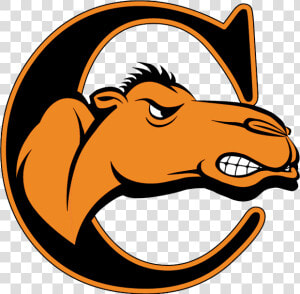 Fighting Camels  HD Png Download