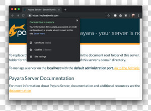 Payara Ssl   Payara  HD Png Download