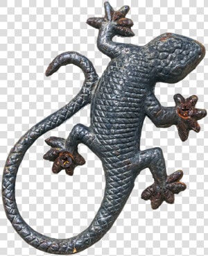Reptile  HD Png Download