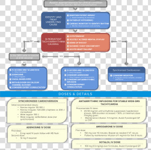 Algorithm Acls Tachycardia With A Pulse   Tachycardia Acls Algorithm 2019  HD Png Download