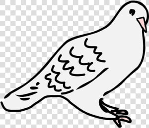 Dove Is Sitting   Sitting Dove Clipart Black And White  HD Png Download