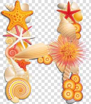 Beach Letter H   Beach Letter Png  Transparent Png