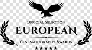 Transparent Laurels Png   Cinema For Peace Logo  Png Download