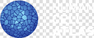 Human Cell Atlas Logo  HD Png Download