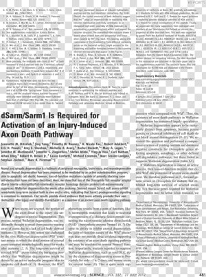 Document  HD Png Download