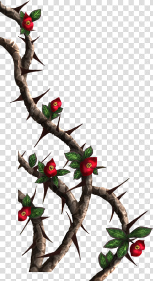 Drawings Of Roses With Vines And Thorns Crown Painted  HD Png Download