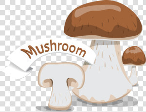 Shiitake  HD Png Download