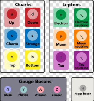 Fundamental Particles  HD Png Download