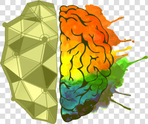 Brain Sides  HD Png Download