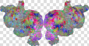 A Flattened Representation Of The Human Brain Imaged   Python Fmri  HD Png Download