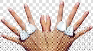 Two Hands With Foam Between Fingers   Tan  HD Png Download