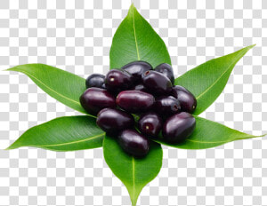 Huckleberry  HD Png Download