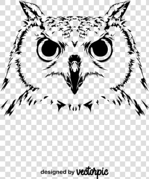 Great Horned Owl  HD Png Download