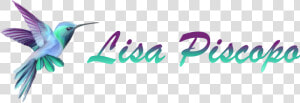 Love Reggaeton  HD Png Download