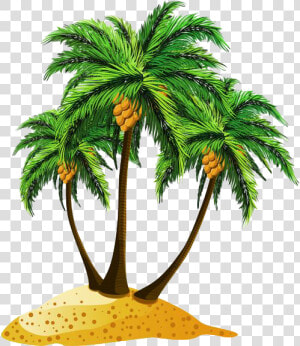 Download Beach Png Pic   Beach Tree Png  Transparent Png