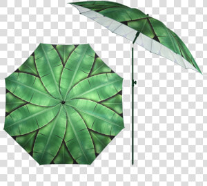 Parasol Banana Leaves  HD Png Download