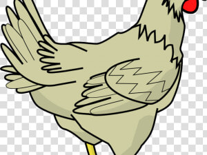 Realistic Clipart Chicken   Chicken Clipart  HD Png Download