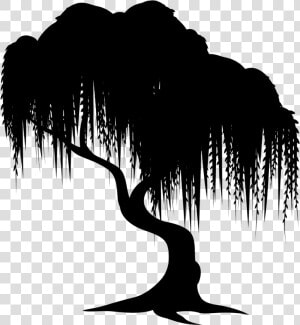   tree  shadow  conture  plant  remix   Weeping Willow Tree Clipart  HD Png Download