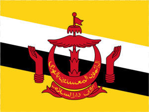 Brunei Flag  HD Png Download