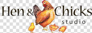 Chicks Png  Transparent Png