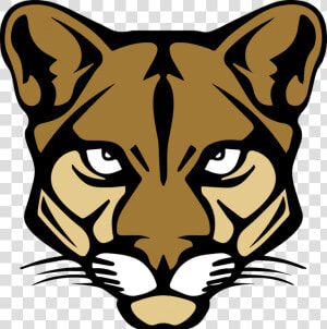 Cougar Cartoon Drawing Easy  HD Png Download