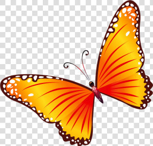 Butterfly Cliparts Png Vector   Butterfly Clip Art Png  Transparent Png