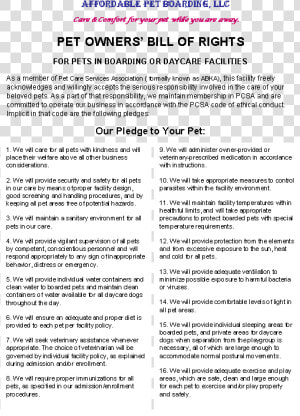 Document  HD Png Download