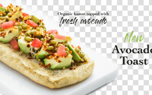 Copper Branch Avocado Toast  HD Png Download