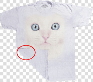 Футболка С Дефектом White Kitten Face  HD Png Download