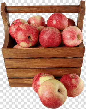 Appels In Wooden Case   Increase Breast Size At 16  HD Png Download