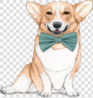 Dog Wallpaper For Walls  HD Png Download