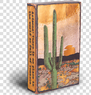 Saguaro  HD Png Download