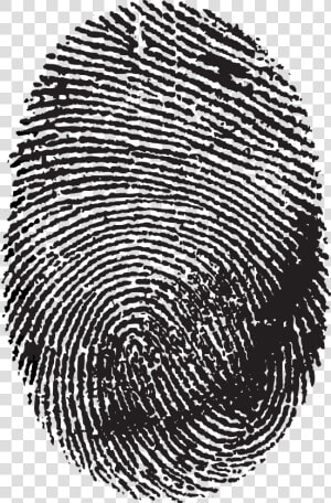 Fingerprint Image Scanner No Icon   Transparent Background Fingerprint Png  Png Download