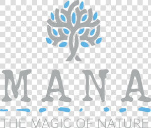 Mana Png  Transparent Png