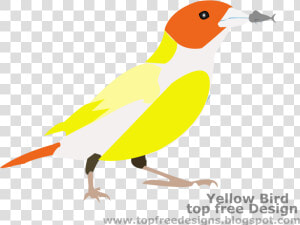 Bird Clipart   Finch  HD Png Download
