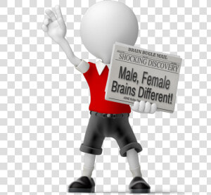Male And Female Brain Differences   News  HD Png Download