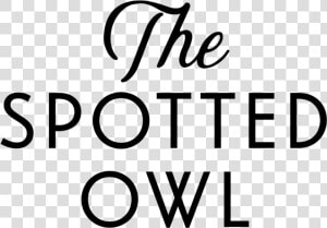 Owl Logotype  HD Png Download