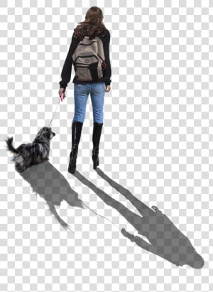 Walking Dog Png   Companion Dog  Transparent Png