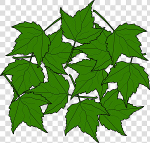 Maple Leaves Svg Clip Arts   Portable Network Graphics  HD Png Download
