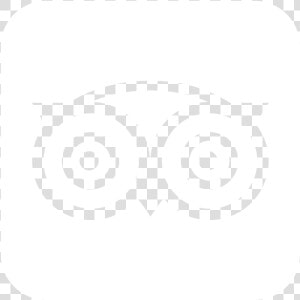 Tripadvisor   Owl Logos With Names  HD Png Download