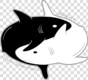 Ocean Dimensions Maldives   Great White Shark  HD Png Download